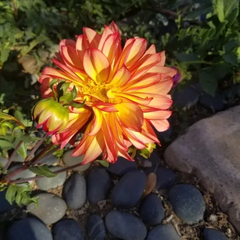 Resized 20221029 100027