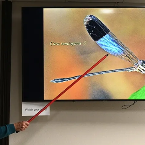 Noted dragonfly expert Rosser Garrison shows a slide of Cora semiopaca at the Bohart Museum of Entomology open house. (Photo by Kathy Keatley Garvey)
