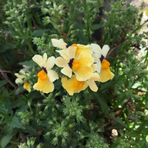 Photo by Polly Nelson