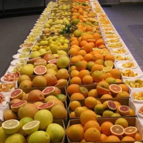 citrus selection