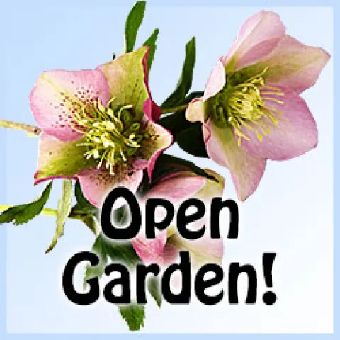 Open Garden