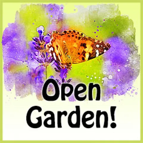 Open Garden