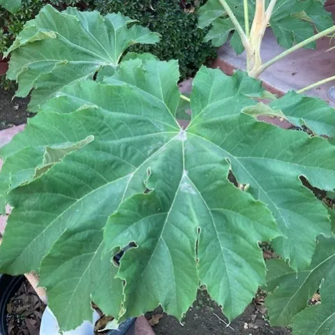 photos by Michelle Davis