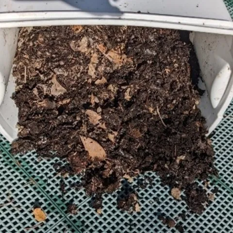 Compost