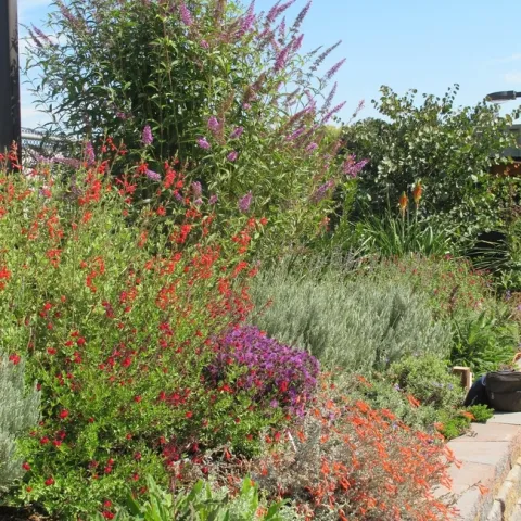 Plants of varying heights growing in a brick planter.