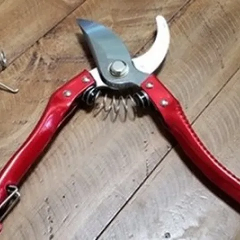 Photo of pruning shears