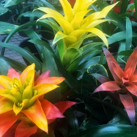 Photo by Deborah Light-Pacheco