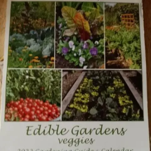 UCCE MG Calendar-Sacramento. photo by Kathy Low