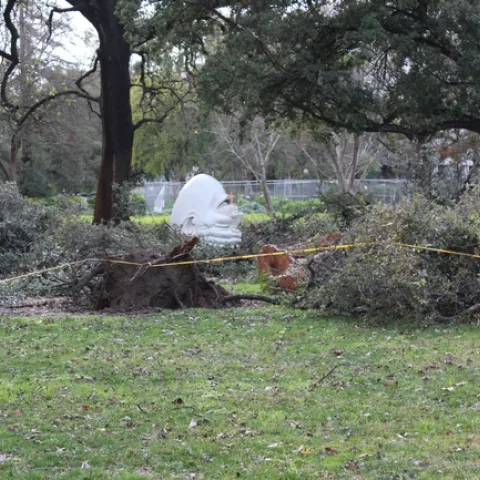 Egghead "eye on Mrak" and upside down laughing egghead.