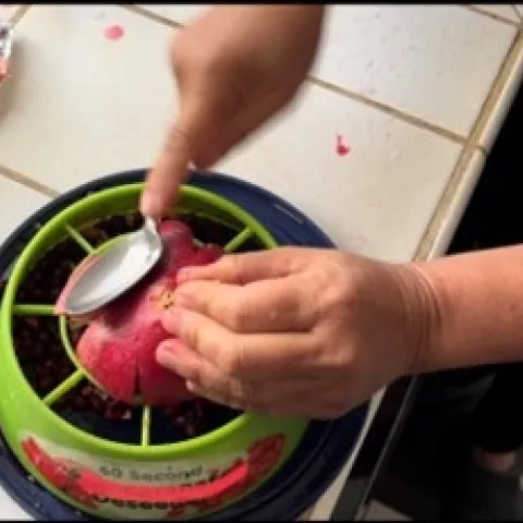 pomegranate tool