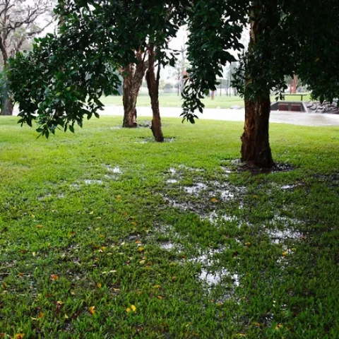 Credit: Steve Garner, Flikr.