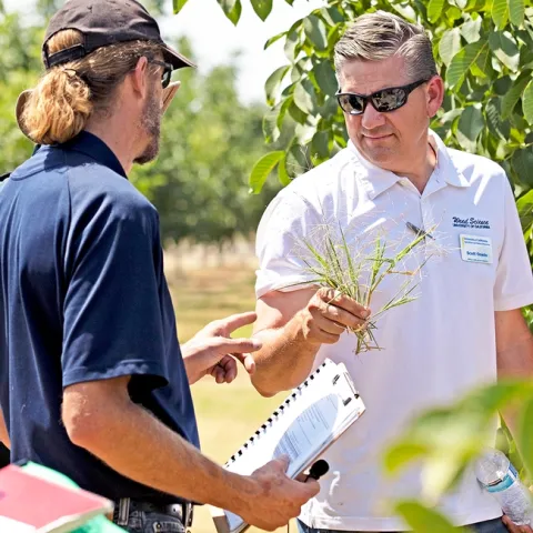 Brad Hanson and Scott Oneto at Weed Day 2018