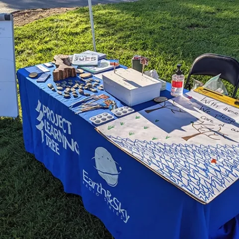 Project Learning Tree (PLT) California aims to "use trees and forests as windows on the world to increase students' understanding of the environment and actions they can take to conserve it."