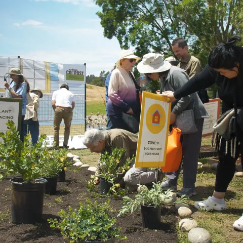 Ember Stomp Video Capture