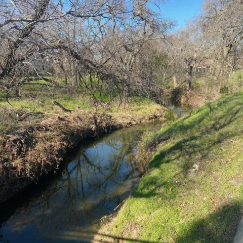 photo by Mike Gunther