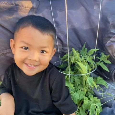 Child smiling next to a 12-inch tomato plant