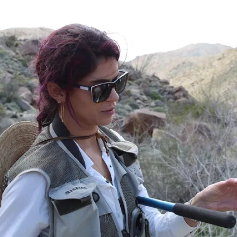 Lauren Ponisio, assistant professor of biology, University of Oregon, doing field research.