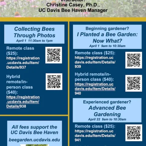 UC Davis Bee Haven 2023 classes flyer