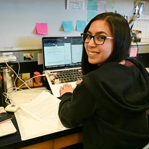 Doctoral candidate Christine Tabuloc working in the laboratory of molecular geneticist and physiologist Joanna Chui, professor and vice chair of the UC Davis Department of Entomology and Nematology. (Photo by Kathy Keatley Garvey)