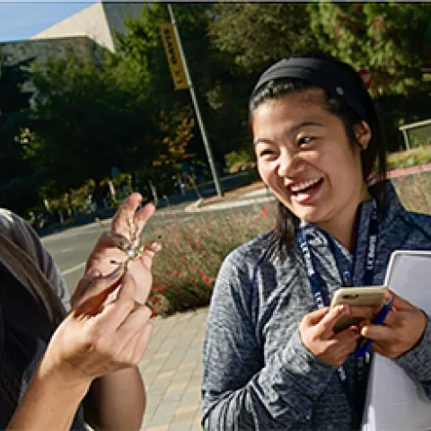 This image of community ecologist Rachel Vannette (left) appears on the home page of the UC Davis Department of Entomology and Nematology website.