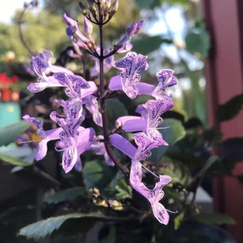 Photo by Andrea Peck