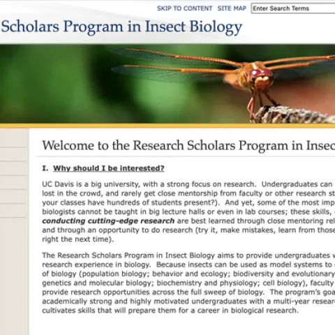 A screen shot of the UC Davis Research Scholars Program in Insect Biology website.