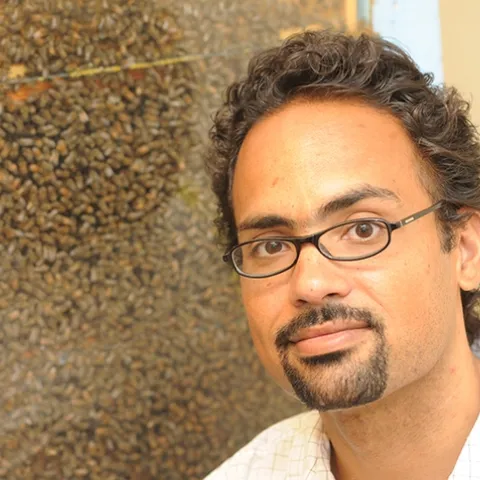 UC Davis honey bee scientist Brian Johnson is the author of a newly published book, "Honey Bee Biology." (Photo by Kathy Keatley Garvey)