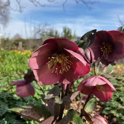 photo by Michelle Davis