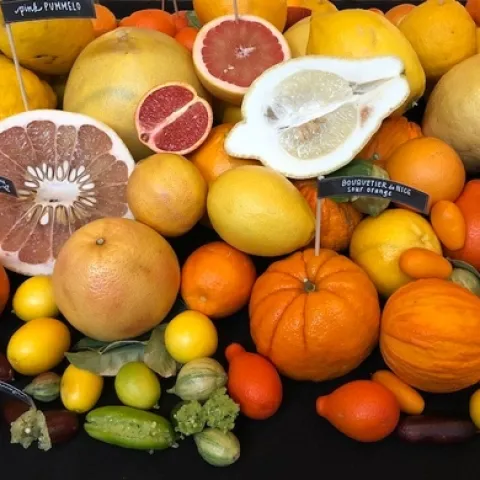 UC Riverside image of fruits