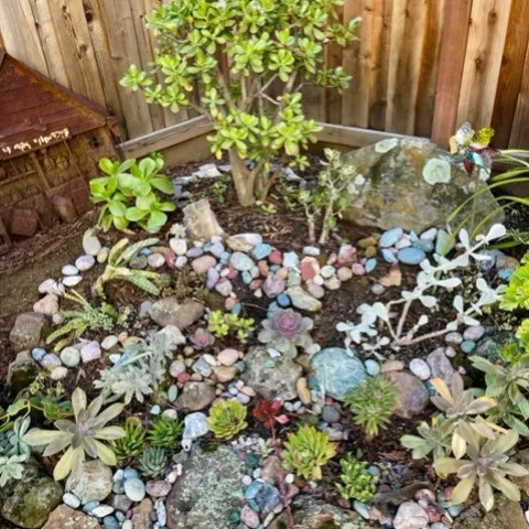 Before. photos by Cindy Yee