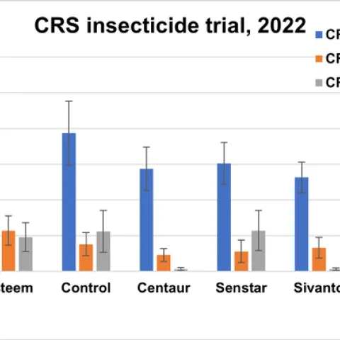 Figure 5. Mean live CRS/twig before and after treatments. Treatments were applied on July 28. Pretreatment count was done on July 25, and post-treatments counts were done on September 23, and October 12, respectively.