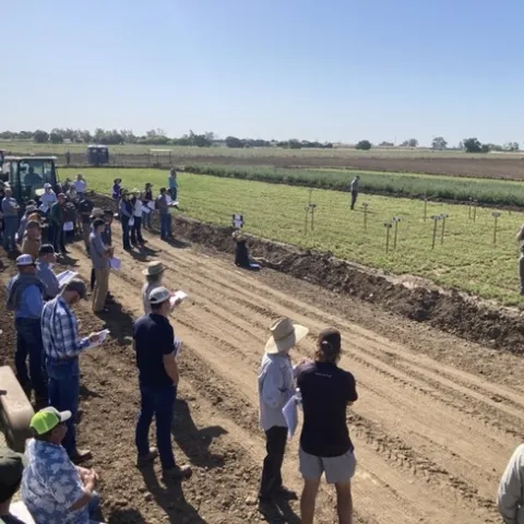 Davis Field Day 2022