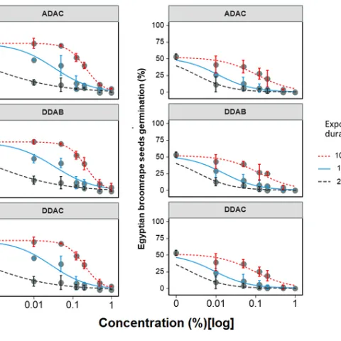 Figure 1. Dose–responses curves of branched broomrape and Egyptian broomrape seed germination in response to doses of three different ammonium products under three exposure durations of 10 minutes, one hour, and 24 hours. A three-parameter logistic model (Eq.1) was fitted to germination data. Lines are fitted values, and solid circles indicate observed germination averaged across two experimental runs with three replicates each (i.e., n =6). Error bars indicate 95% confidence intervals. Model parameter esti