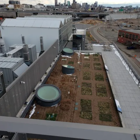 Roof top garden at the SPUR Center, Denver.
