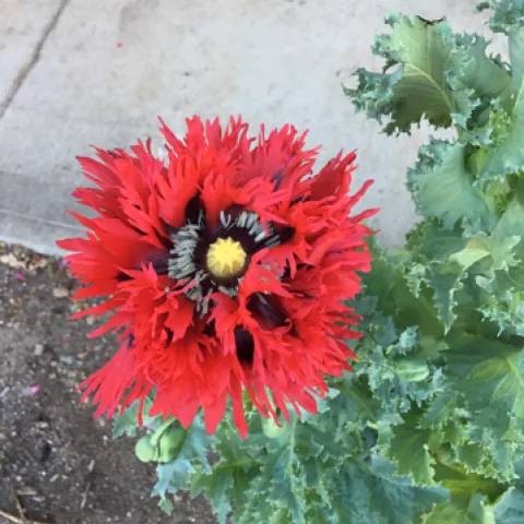 photos by Heather Hamilton