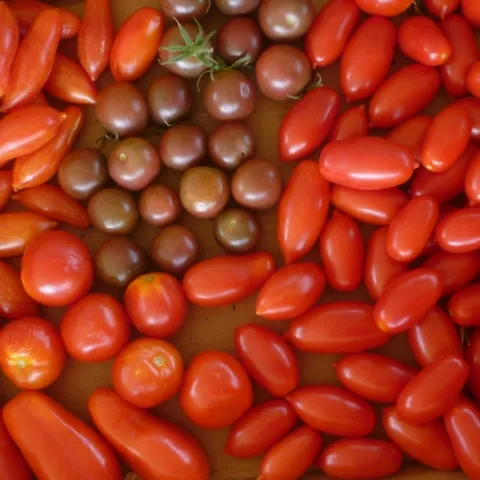 (Photo by Yvonne Rasmussen)