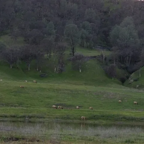 A beautiful view east of Clear Lake on Hwy 20.