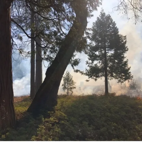 Smoke on the horizon during Nelson’s five-acre prescribed burn. Photo credit: Drew Nelson