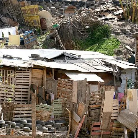 Shacks made of cardboard and wood pallets.