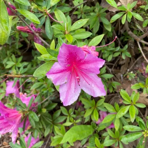 photos by Michelle Davis