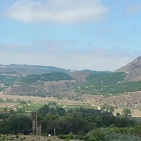 CAAS 2023 Flyer (Final)