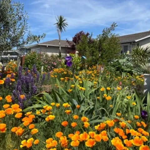 photos by Tina Saravia