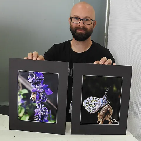 A clerk at McCormack Hall, Solano County Fair, displays two junior division photos: one of a honey bee by Jesse Means of Dixon, and the other of a orange-tip butterfly by Regan Van Tuyl of Dixon. (Photo by Kathy Keatley Garvey)