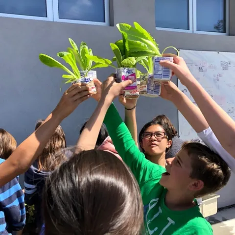 Students lifting lettuce leaves towards the sky.