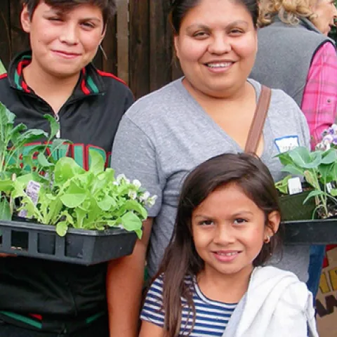 Screen Shot 2023-06-29 at 2.59.06 PM