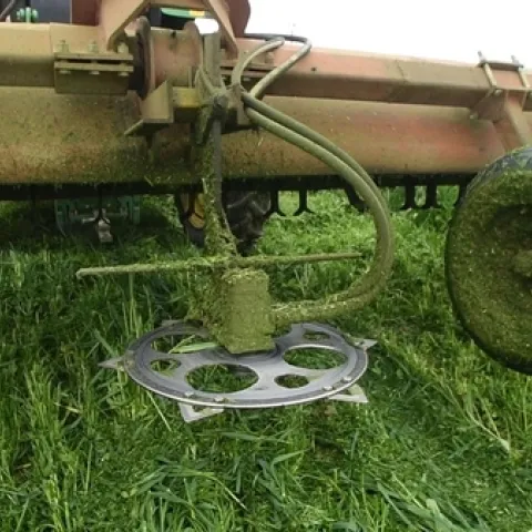 Capture Woolf cutter February 2, 2022