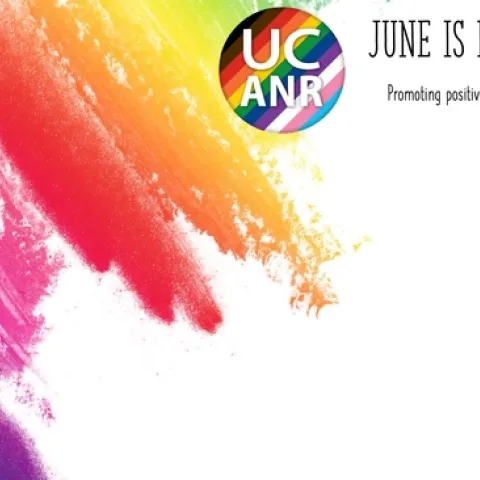 June is Pride Month. Promoting positivity and equal rights for all.