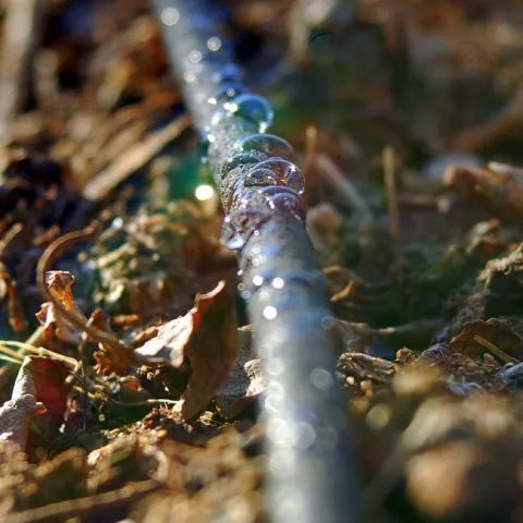 Drip irrigation by JobyOne is licensed under CC BY 2.0.
