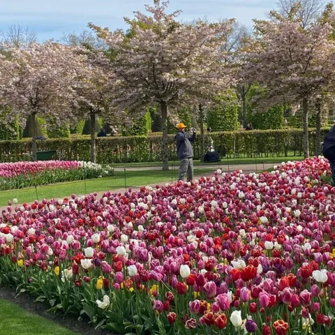 photos by Melissa Sandoval