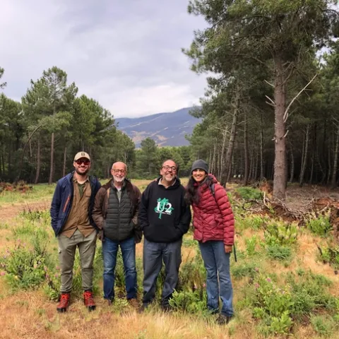 Visiting a fuel break. Adjacent pines have been thinned for resin collection. Members of the Mosaic Project Team and me. From Left to Right: Álvaro Gómez, Óscar Conejero, Fernando Pulido, and Devii Rao. Photo by Daniel George.